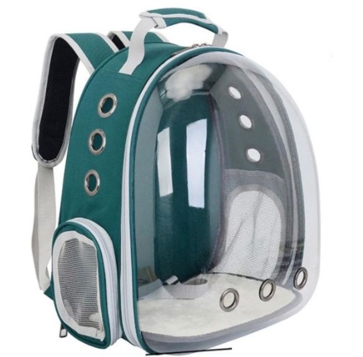 Продам котенка Скоттиш страйт