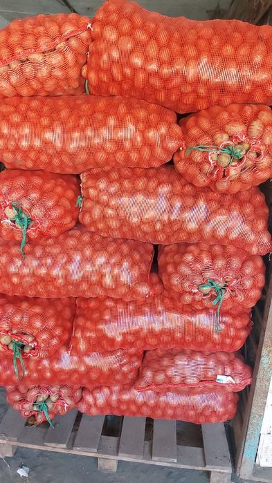 Продам семенной картофель