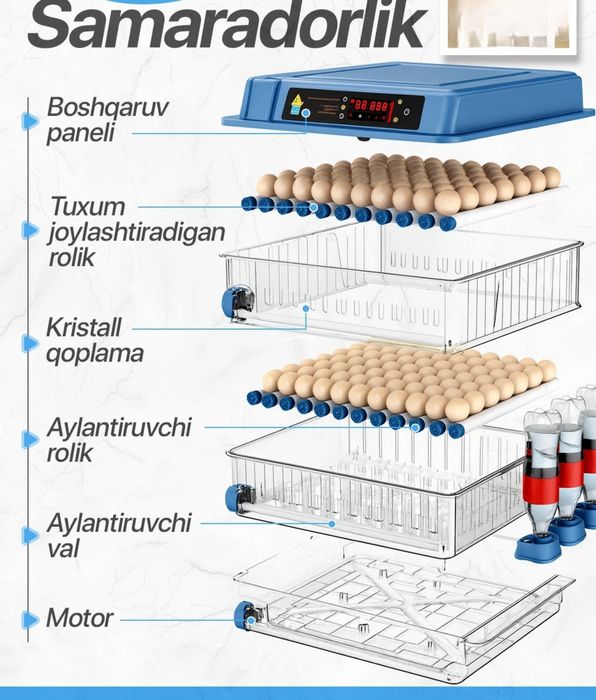 Avtomat inkubator