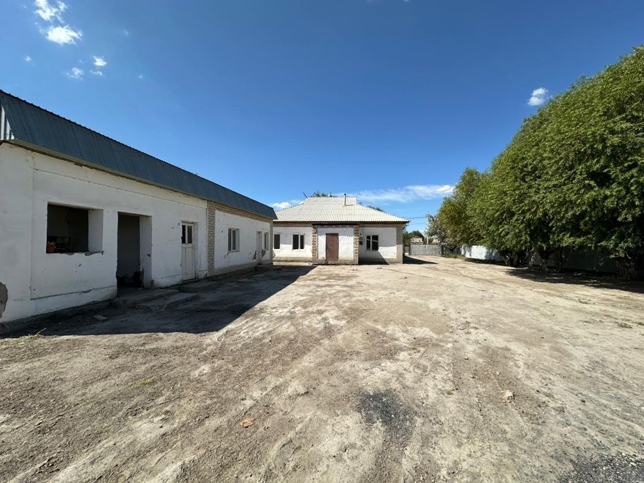 Уй сатылады, өте берекелі