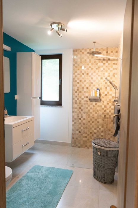 Cabană premium mobilată, 6 camere, 1,68 ha livadă și baltă, aproape de Deva