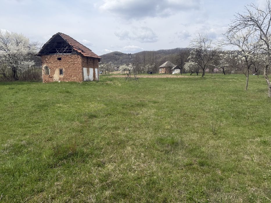 Vand casa batraneasca si teren