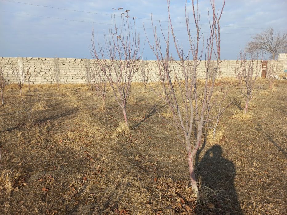 24 сотых уй жой сотлади