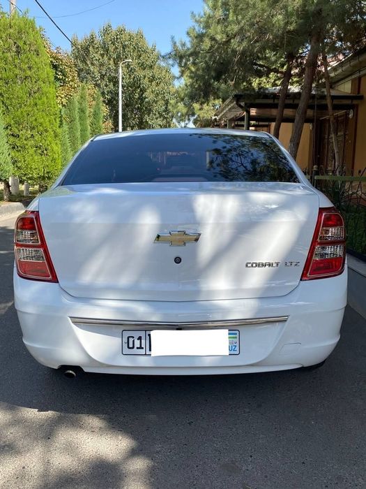 Kobalt 2023 avtomat arendaga beriladi