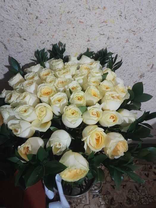 Галански роза 51штук