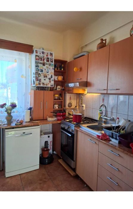 Proprietate mixtă, locuință + spații comerciale,atelier , Sântana