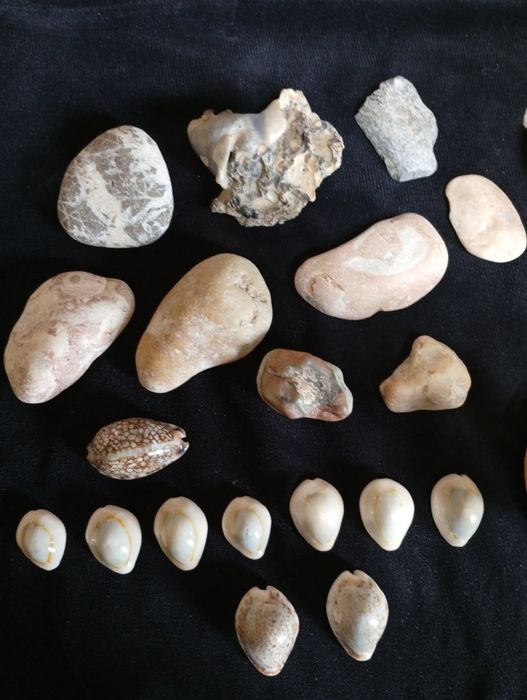 Камни и Ракушки для ландшафта -декора