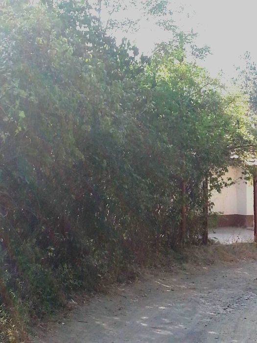 Продава се Парцел в София, Люлин 1 - 580 кв.м за 25 €/кв.м - Снимка #4