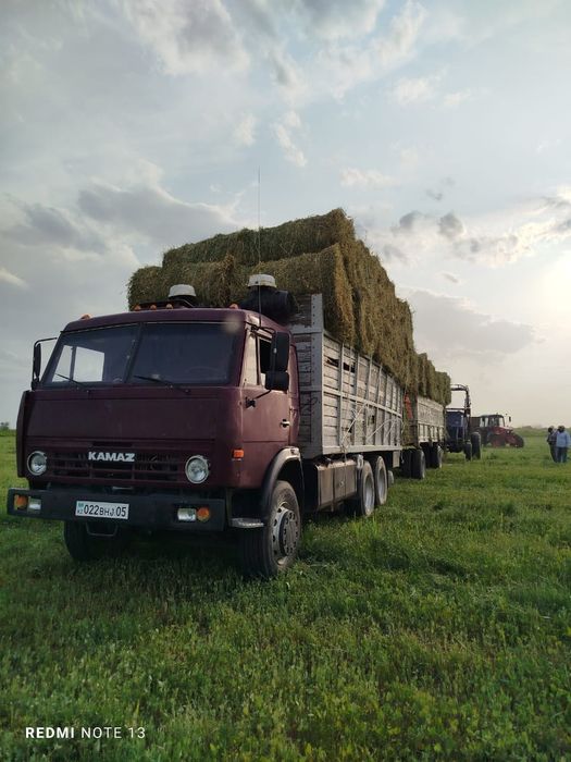 Жоңышқа сатылады доставка бар