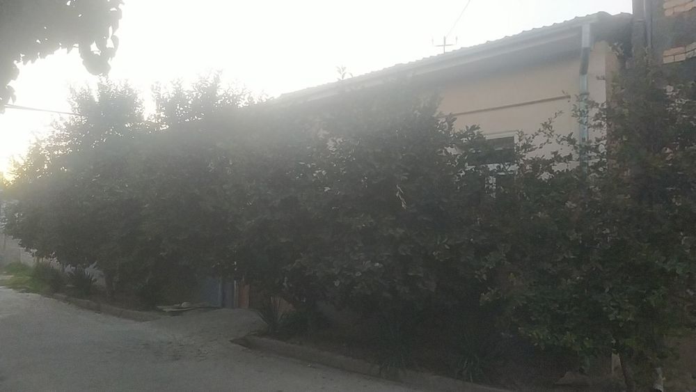 Hovli sotiladi 8 sotix