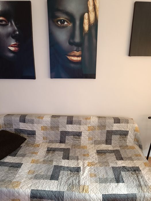 Cuvertura Pat modern