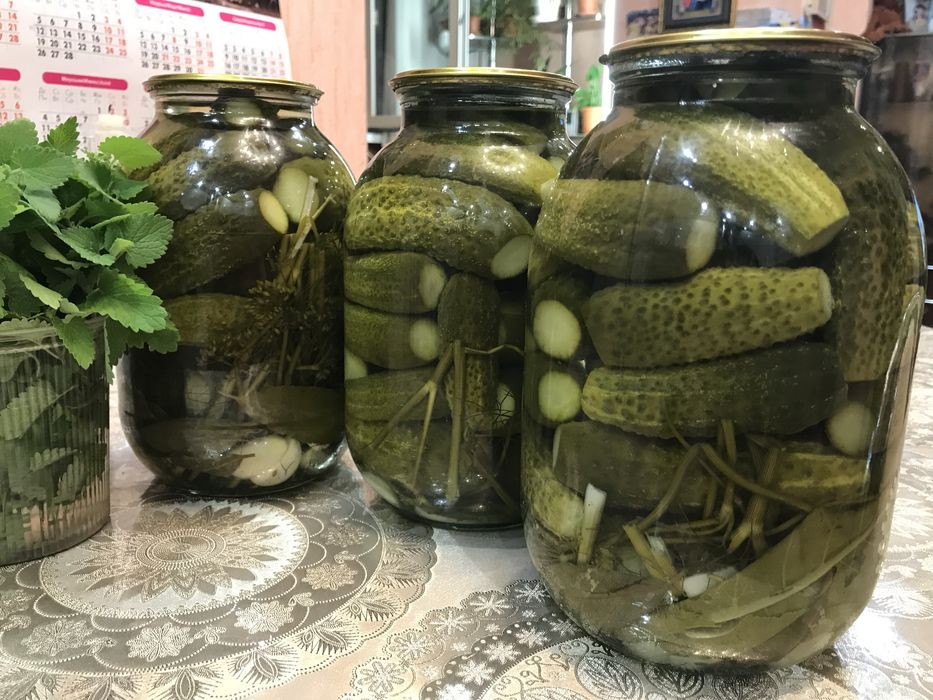 Огурцы соленые домашние