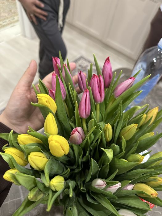 Тюльпаны ОПТОМ