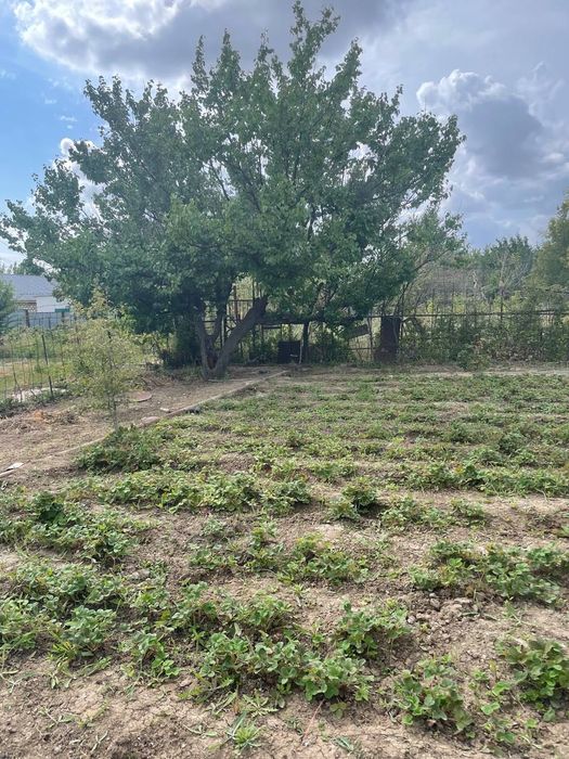 Продается дачный участок ( дача)