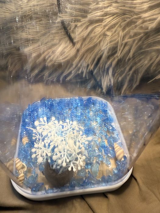 Мини аквариум и рыбка петушок