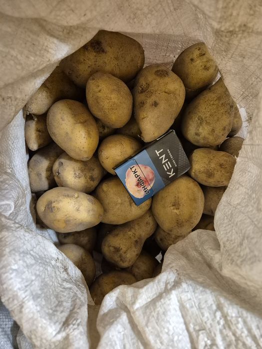 Продам картошку.