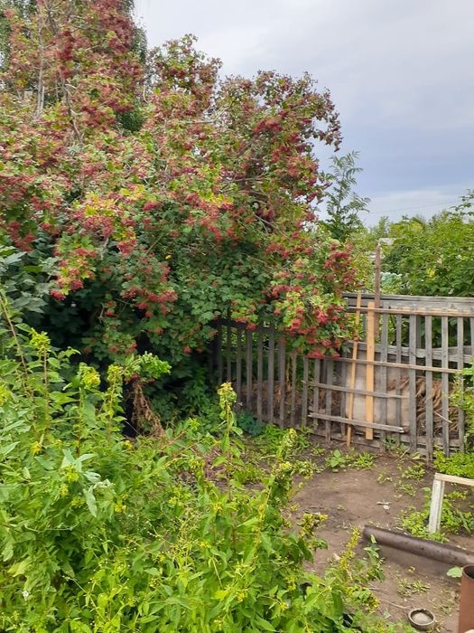 Дача в черте города