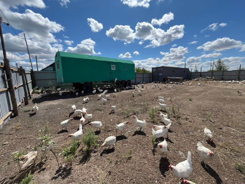 мини фабрика можно  как КХ