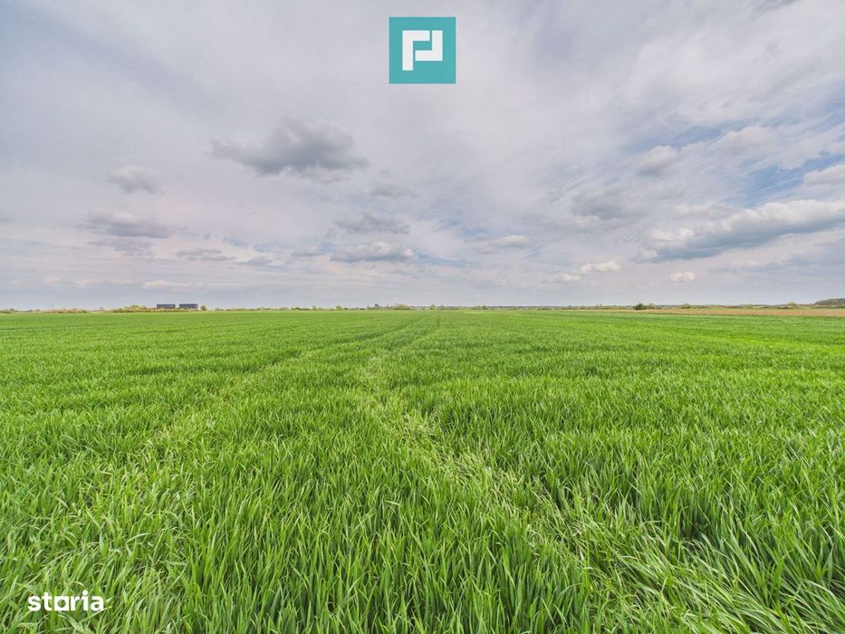 Teren extravilan 19.900 mp – Giroc centură