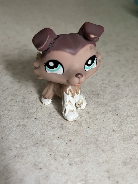 Little pet Shop лпс