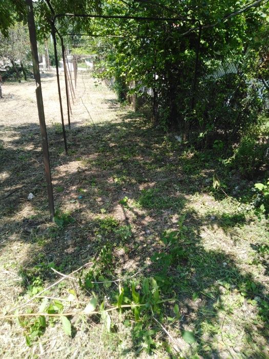 почистване на дворове /дворни места/, извозване на храсти и клониотпад