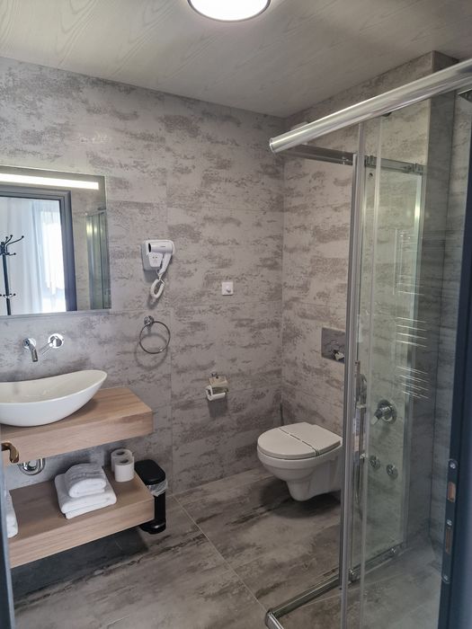 Cazare Toplița Pensiunea Anadis 4*