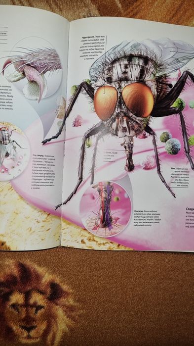 Книга про Животных