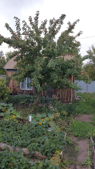 Продам дачный участок