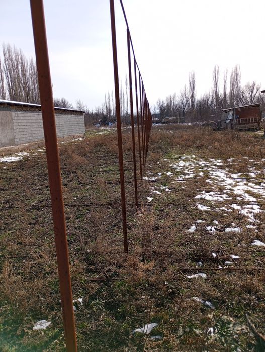 Теплица сельское хозяйство