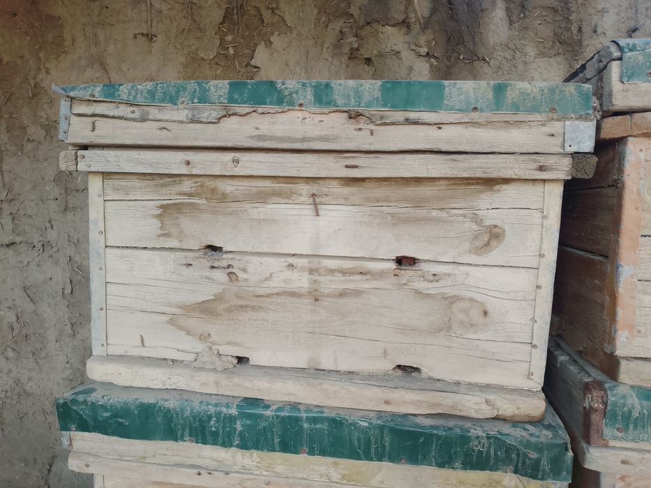 Asalari yashiklari sotiladi narxi 250000 kelshiladi koʻproq olinsa 200