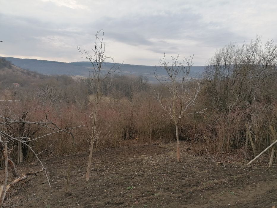 Продава се Парцел в Велико Търново, м-т Козлуджа - 800 кв.м за 29 €/кв.м - Снимка #2