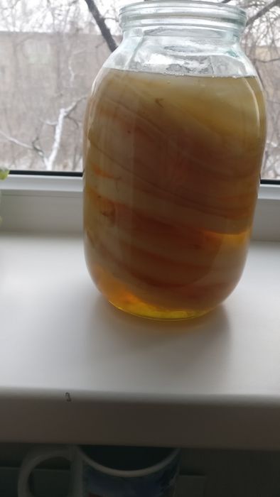 Продам чайный гриб.