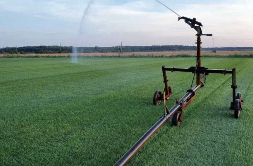 Gazon rulou de cea mai inalta calitate- Montaj inclus