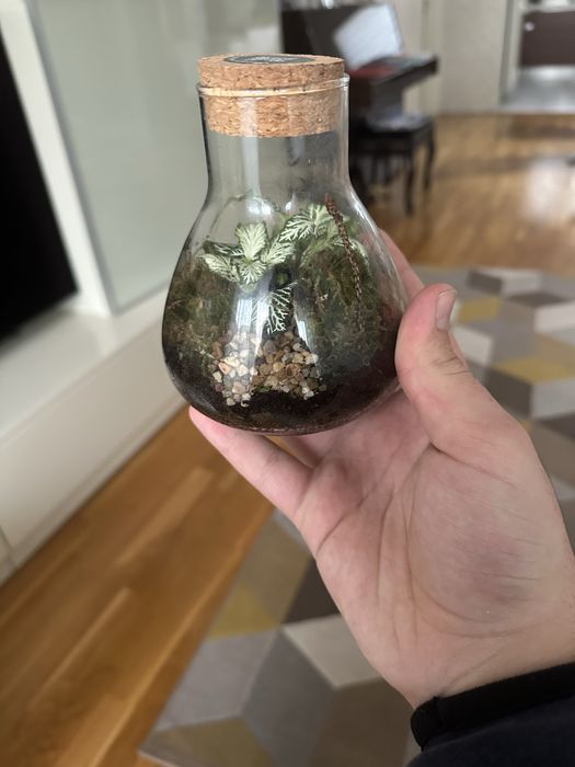 Уникален терариум