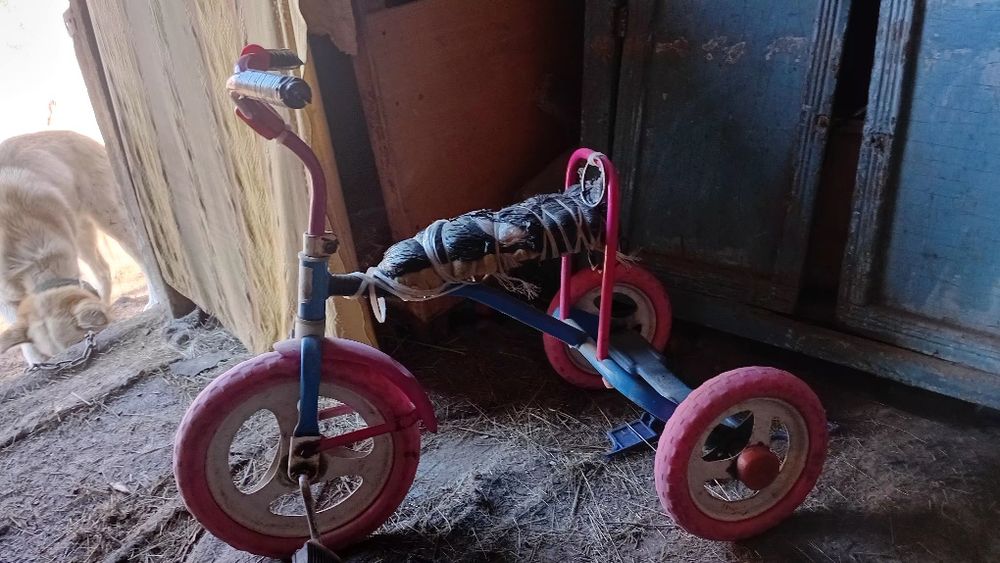 Продам или поменяю