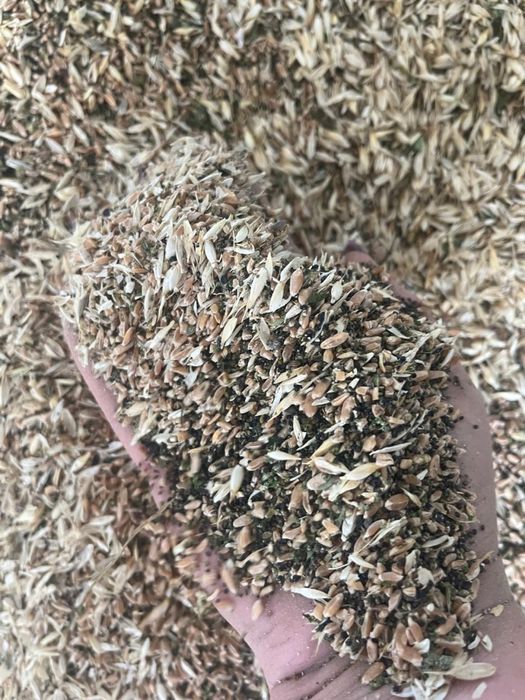 Зерносмесь, Зерноотход, пщеница сечка