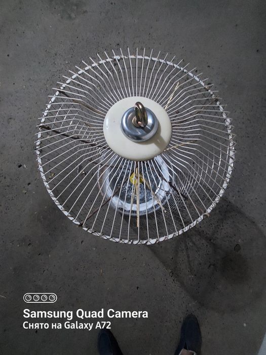 Qafas kanareka totilar uchun