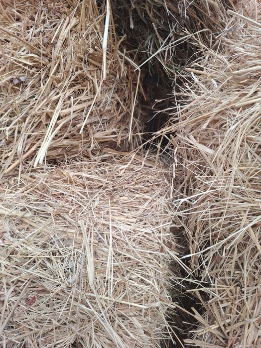 Ут, пресс. O't, press. Traktor press.