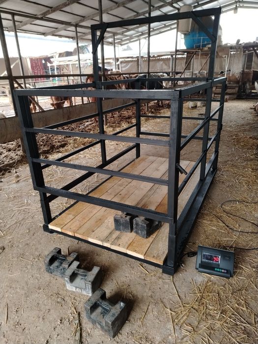 Mol olchidgan tarozilar