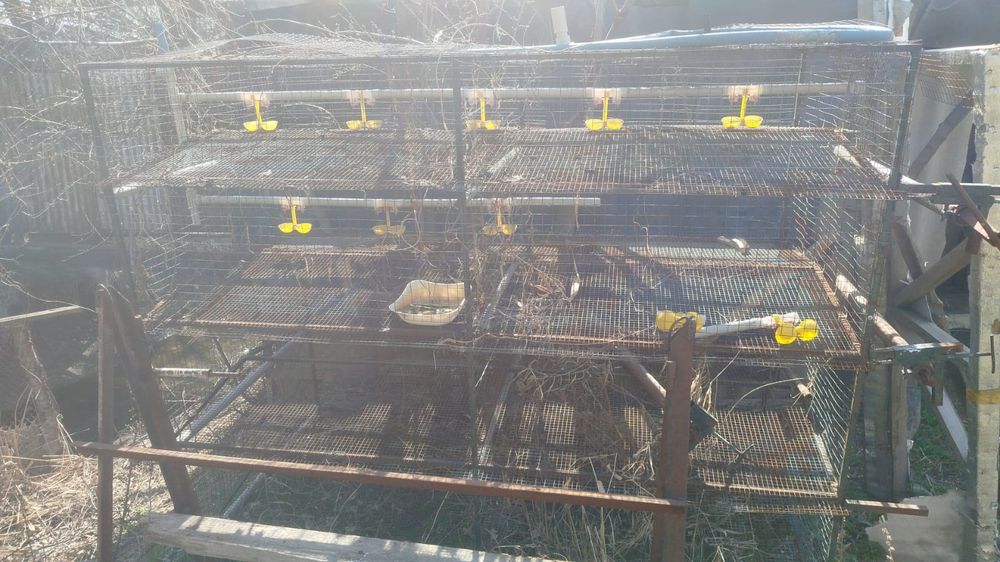 Четырех ярусная сетка для перепелок
