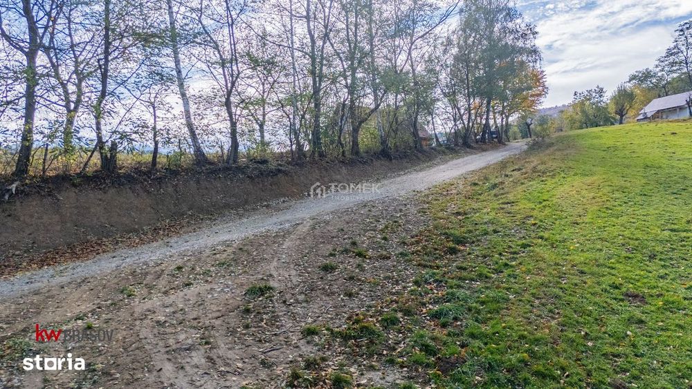 Teren intravilan în Zărnești, zona Tohanita, cu pădurice și parau curg