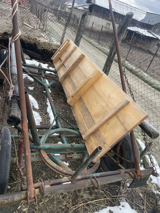 Caruta de in cal si doi