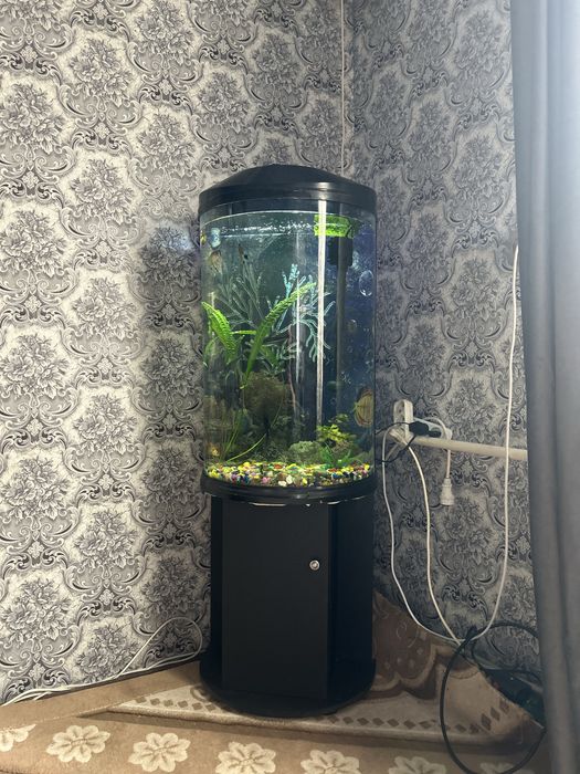 Аквариум для рыб