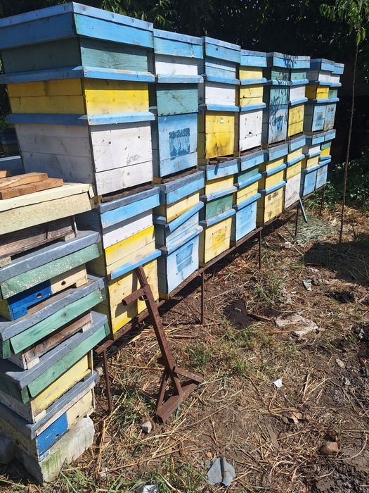 Cutii stupi verticali