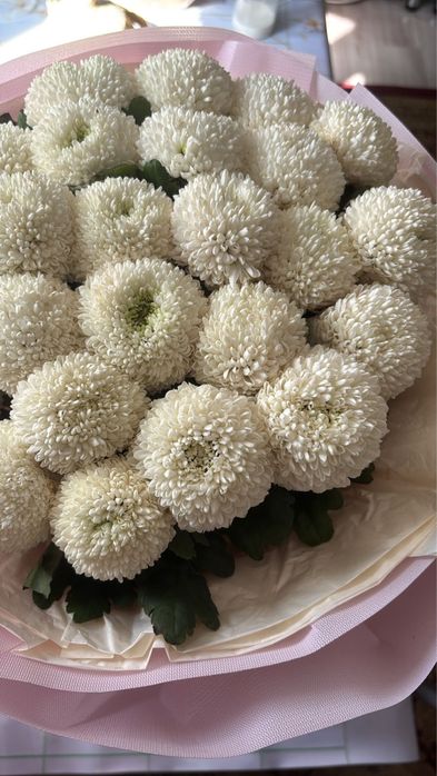 срочно продаю цветы