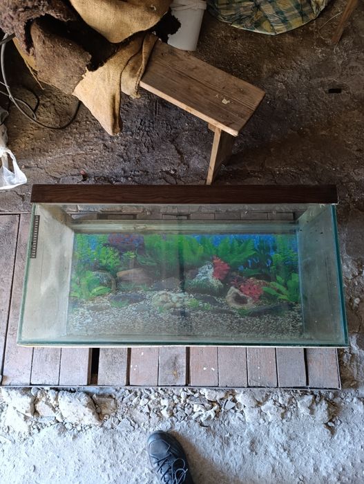 Аквариум 120 литров