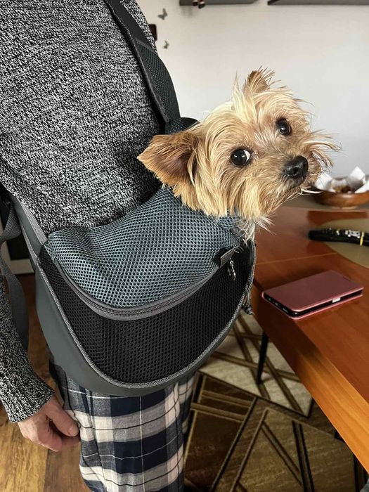 Малка чанта за куче