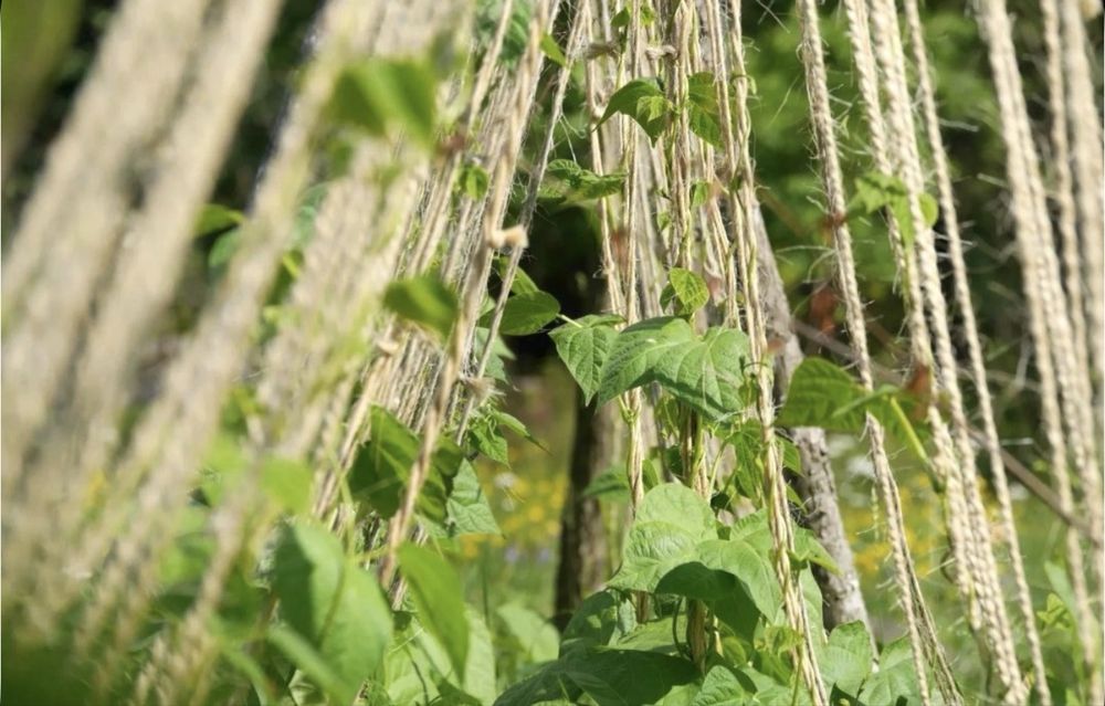 Шпагат двухниточный 1000метров