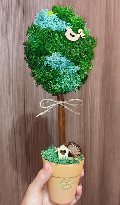 Бурканчета и мини кашпи с естествен скандинавски мъх