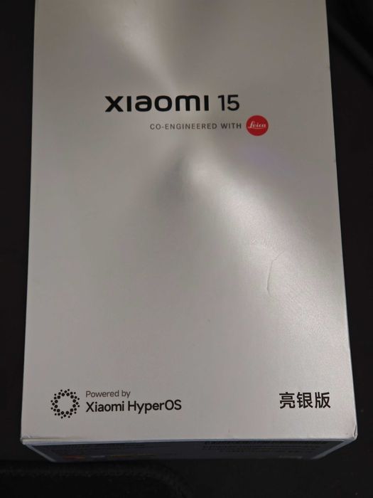 Xiaomi 15 12/256 Silver Edition China